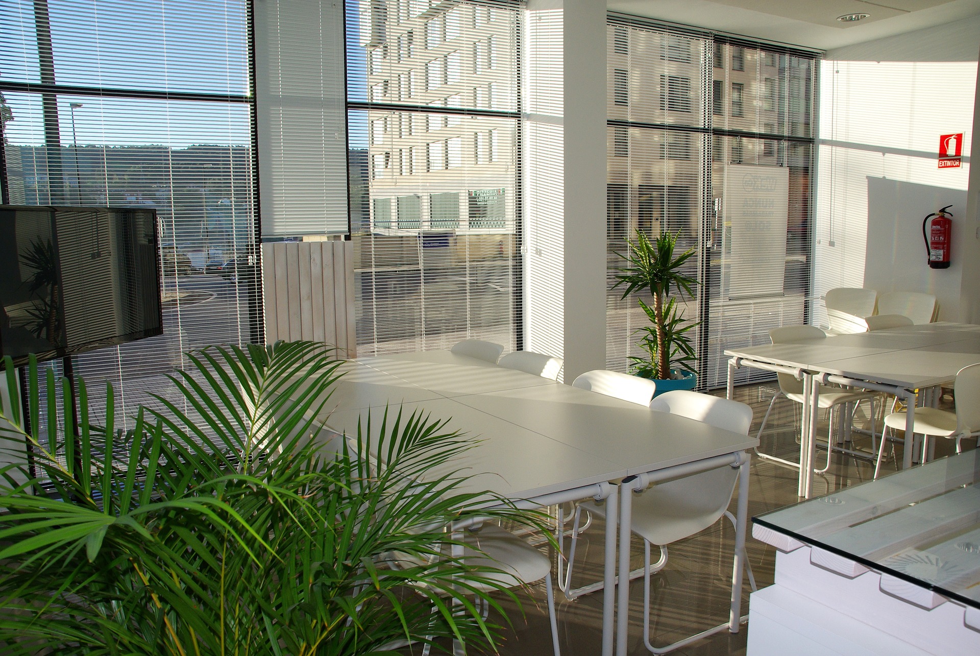 A peaceful office space with large windows illustrates the benefits of good design